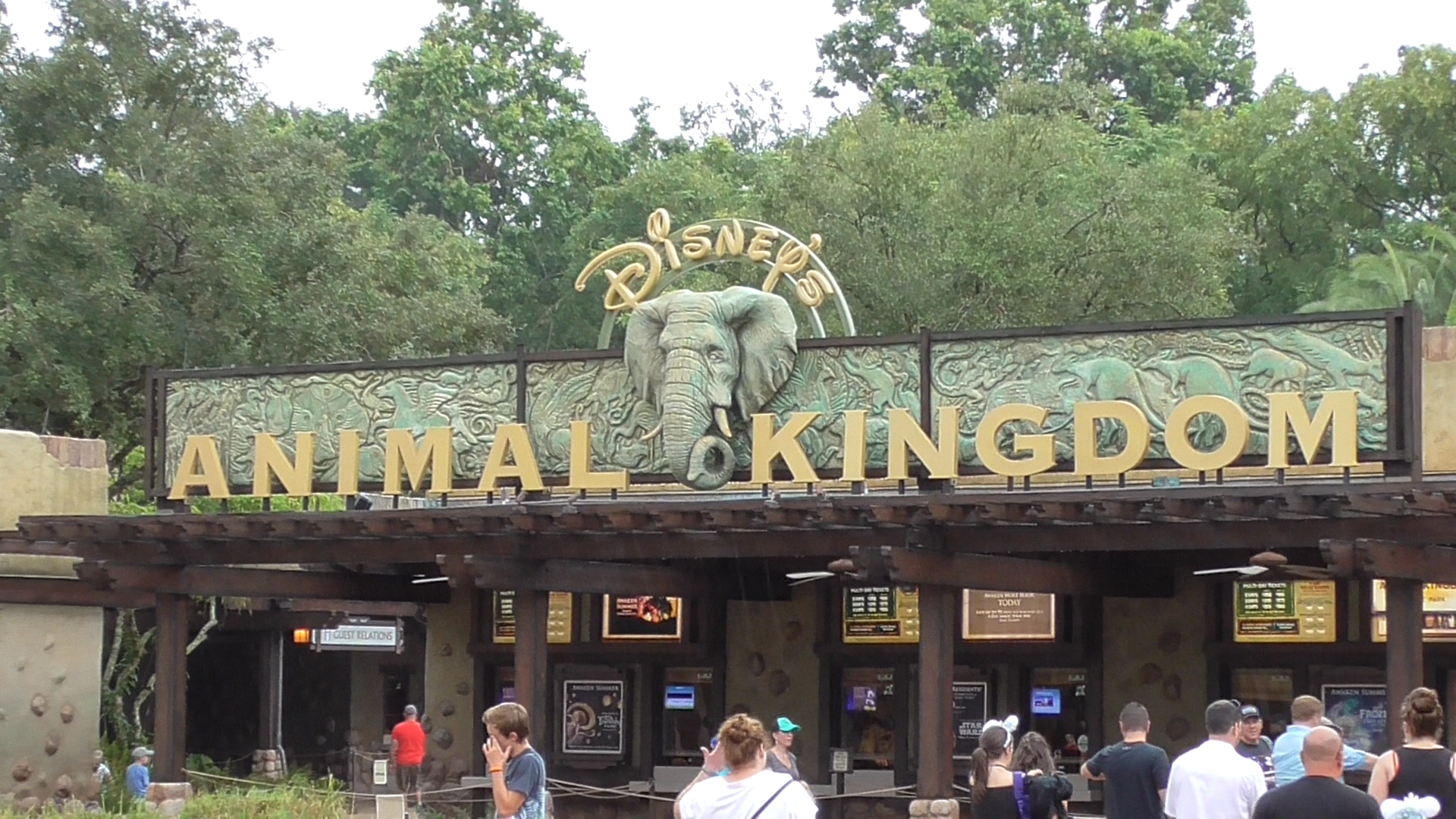Disney's Animal Kingdom Update: Avatar Land Construction, Dinosaur Closed  and More – Orlando ParkStop